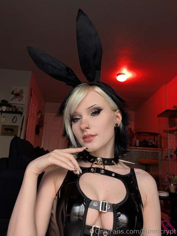 bunnicrypt image #12