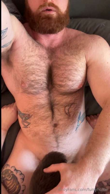 furryholtie