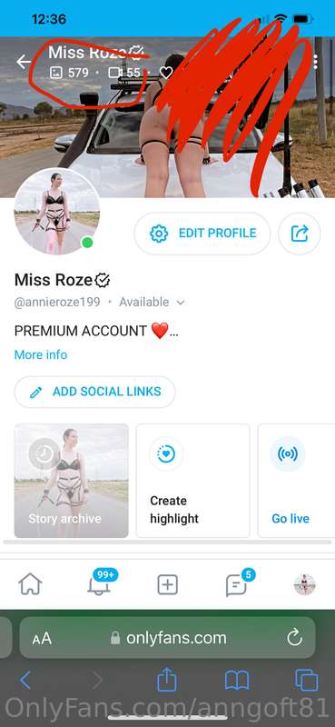 Premium account x  https://onlyfans.com/annieroze199