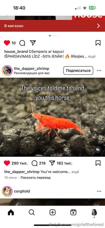media