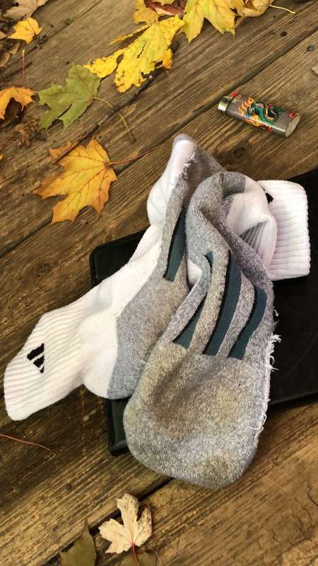 media