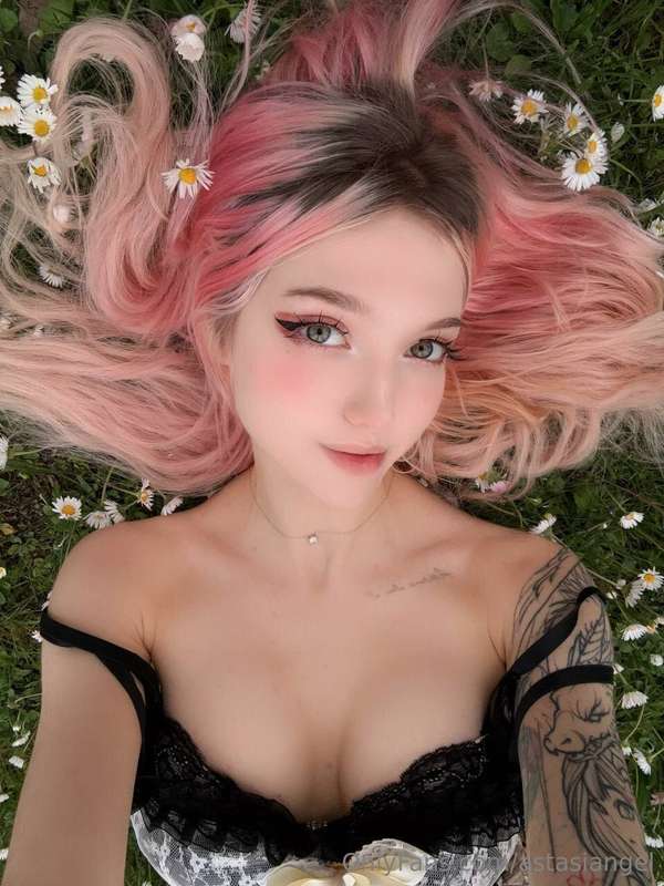 astasiangel