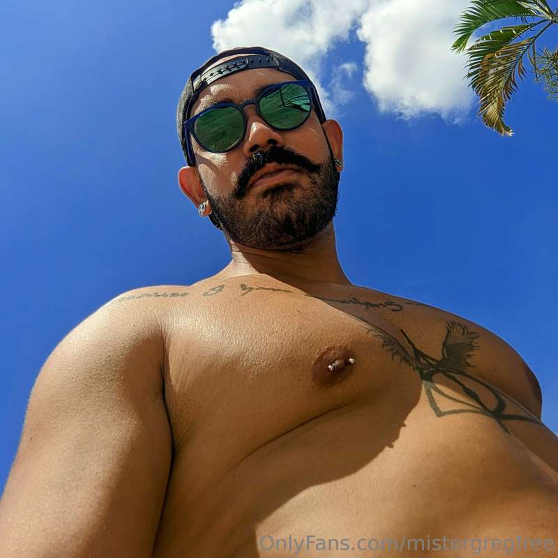 mistergregfree