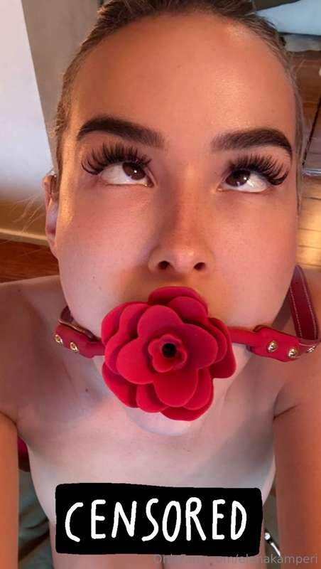 elenakamperi