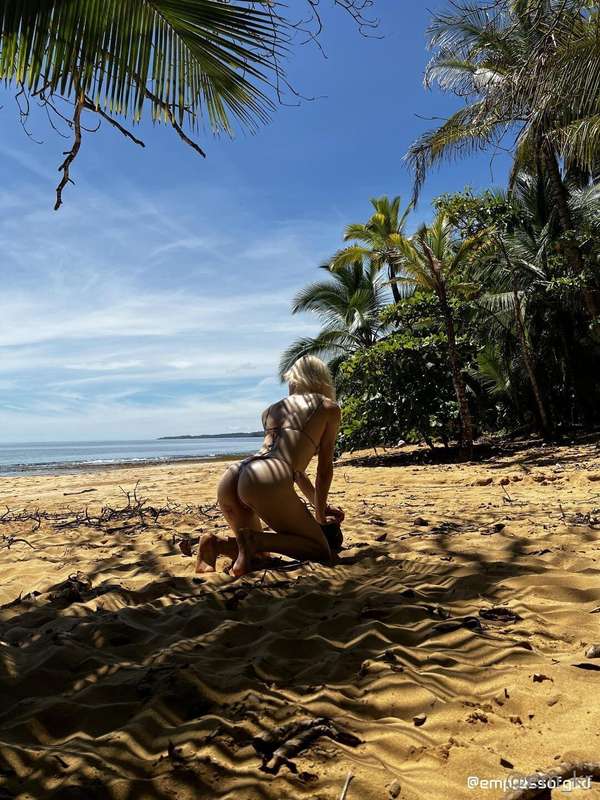 tigress in the sand 🐅   I love how these pictures turned out..