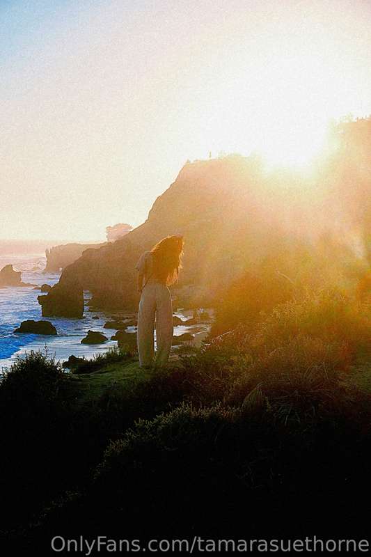 tamarasuethorne