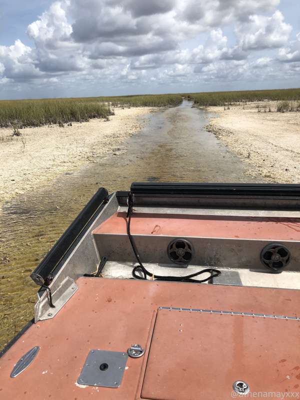 media