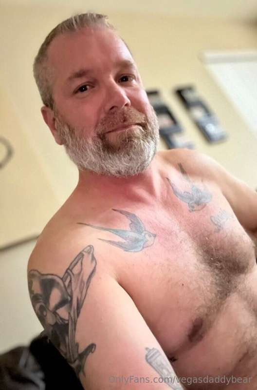 vegasdaddybear image #0