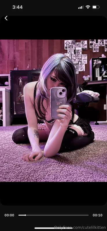 cutelilkitten
