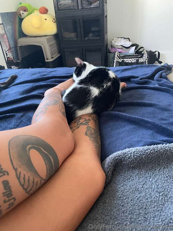 meow