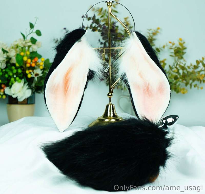 I just bought these bunny ears so I can be the bunny girl of..