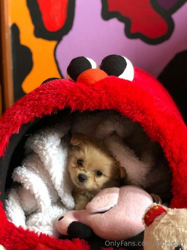 littlelolm