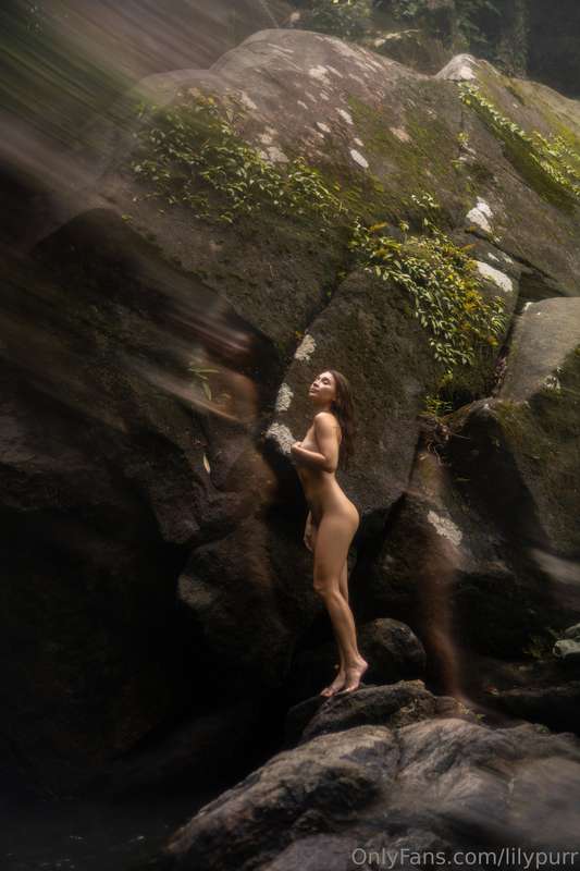 lilypurr