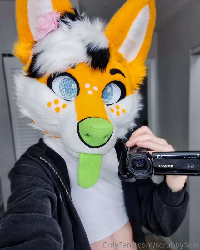 media