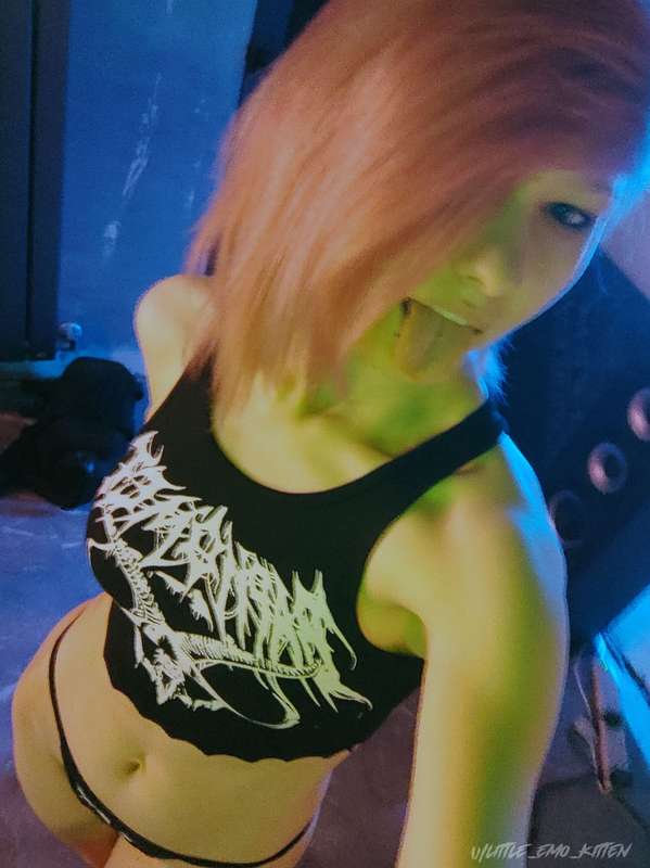 little_emo_kitten photo