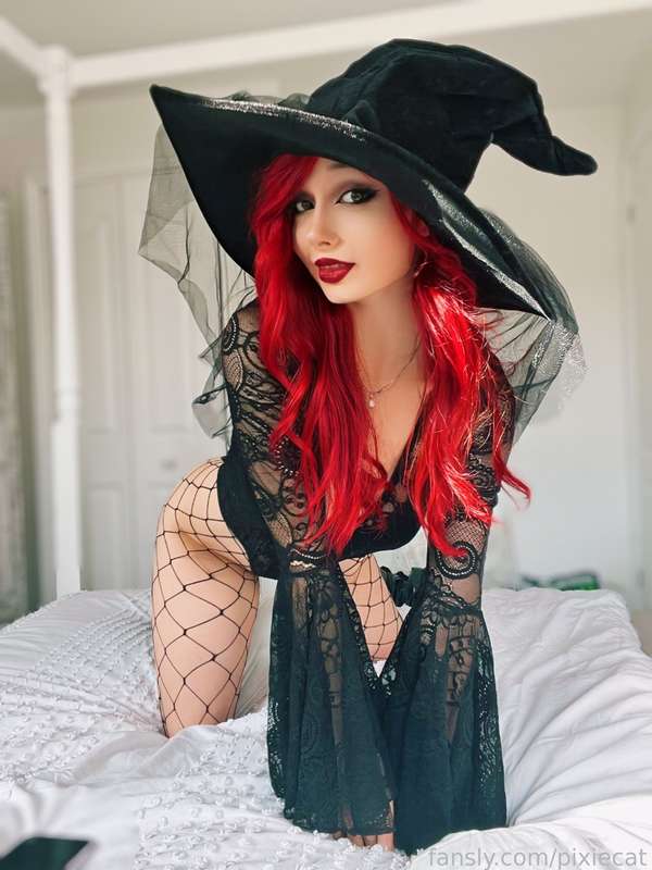 pixiecat image #23