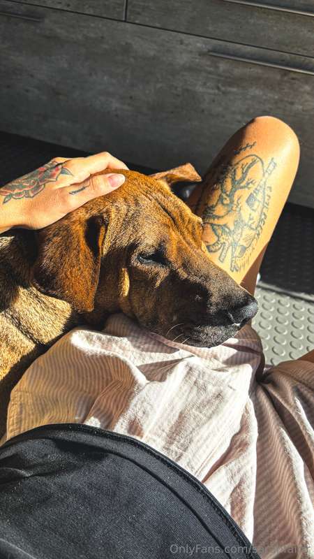 media