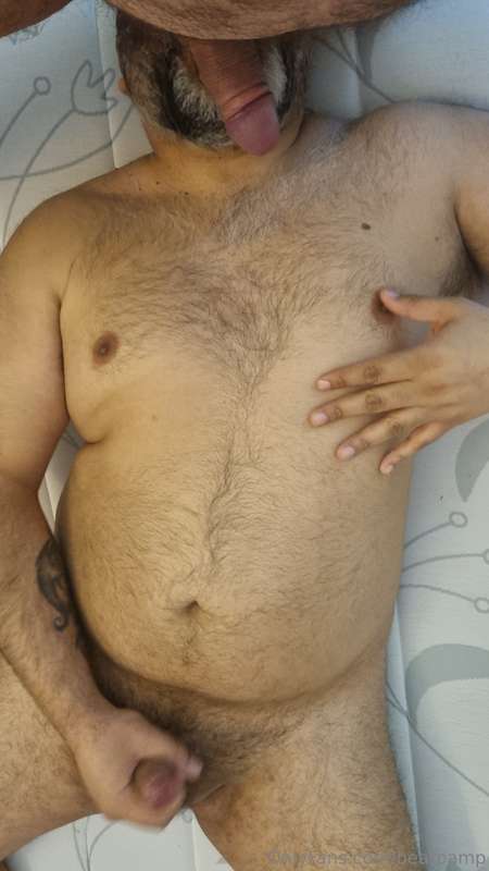 bearpamp