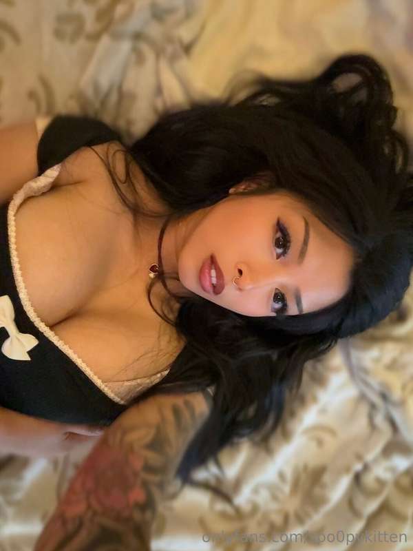 🐾 Last Chance to Play with Your Kitty 😽My Purrfect Kitty Tip..