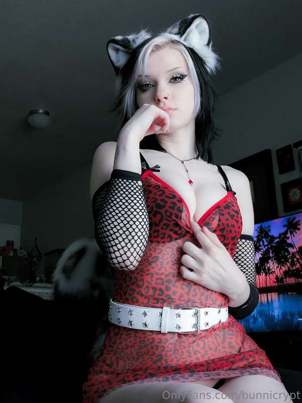 bunnicrypt image #5
