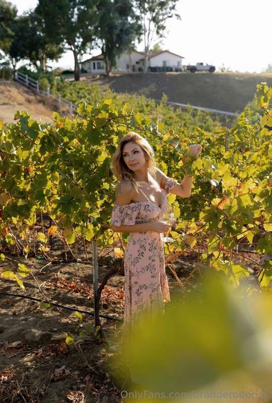always a good time in the vineyard 💓