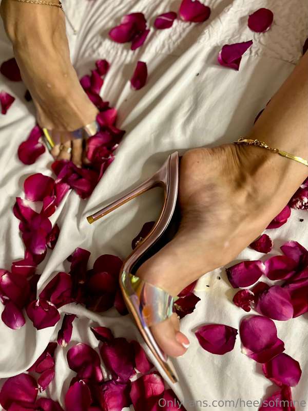 heelsofmine image #4