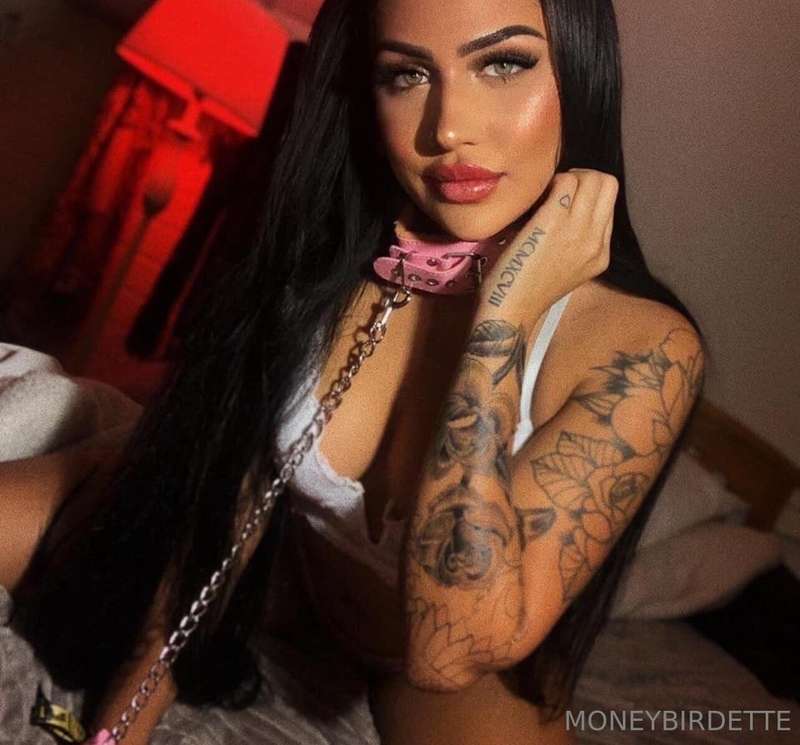 moneybirdette