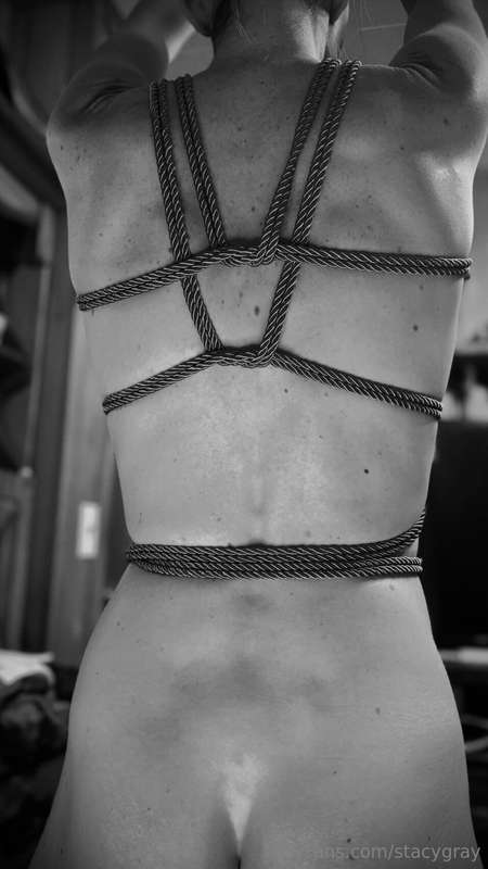 🪢…First Harness Attempt…🪢