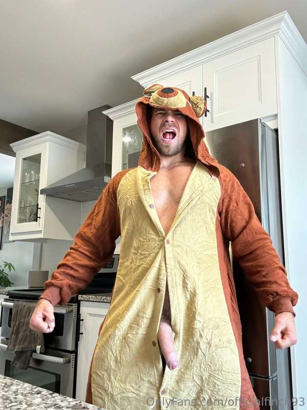 officialfinch93
