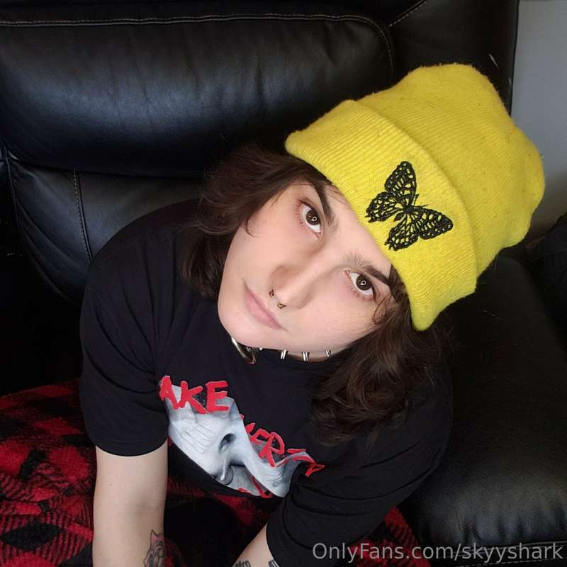 media