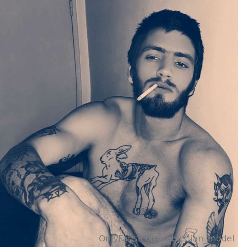 sebastian_model