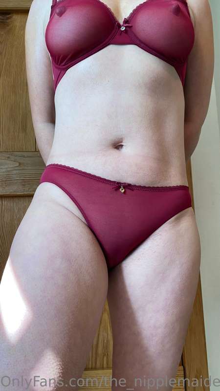 the_nipplemaiden image #1