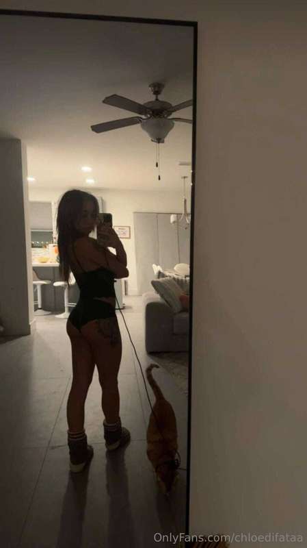 🐱🐱🐱🐱