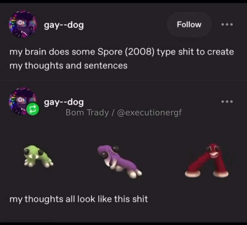 executionergf