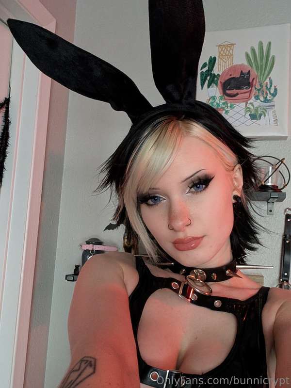 bunnicrypt image #8