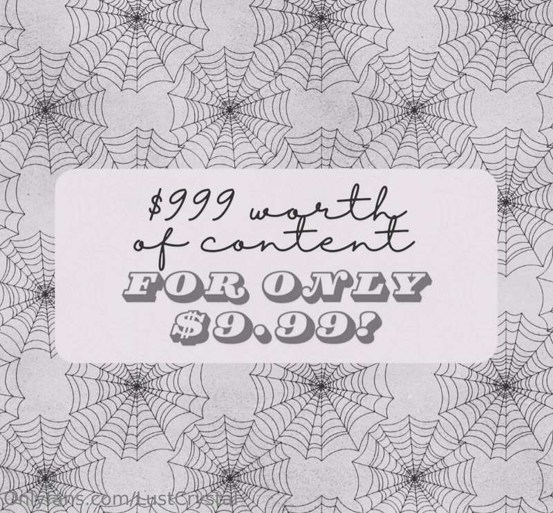 🕷️ONE FAN ONLY!🕷️