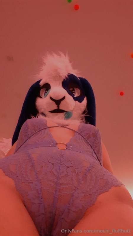 mochi_fluffbutt