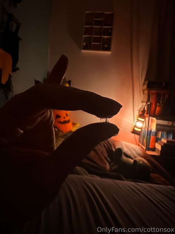 cottonsox photo