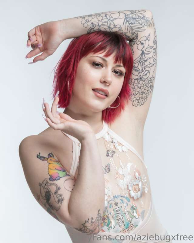 aziebugxfree image #2