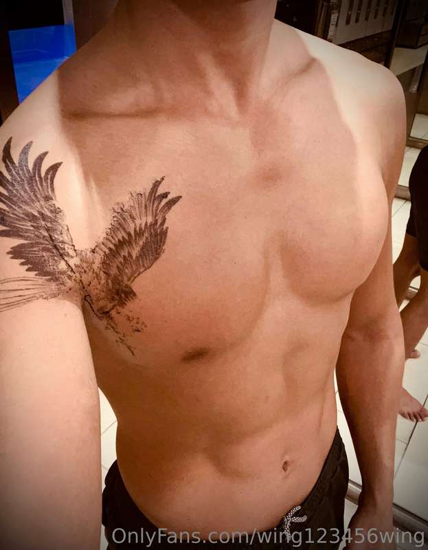 wing123456wing