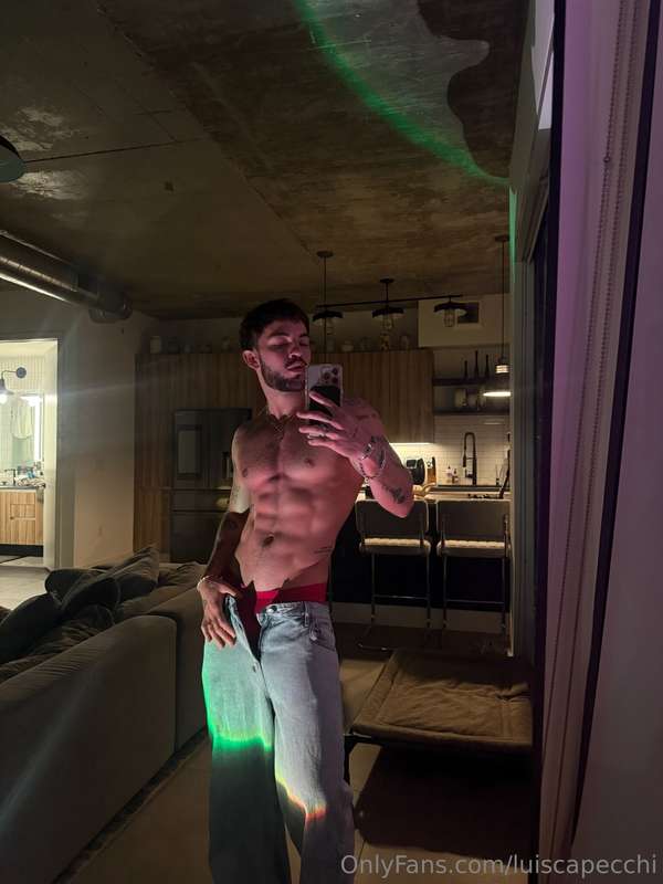 luiscapecchi
