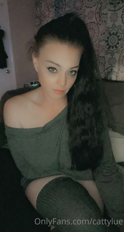 cattylue image #4