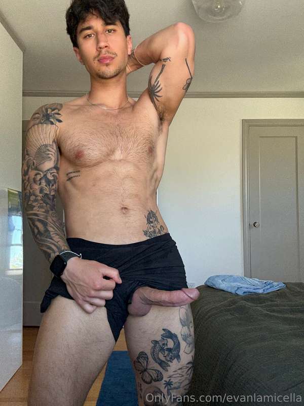evanlamicella