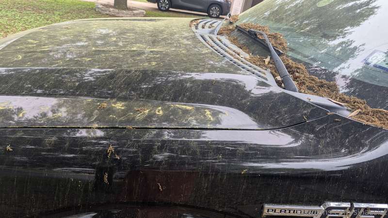 media