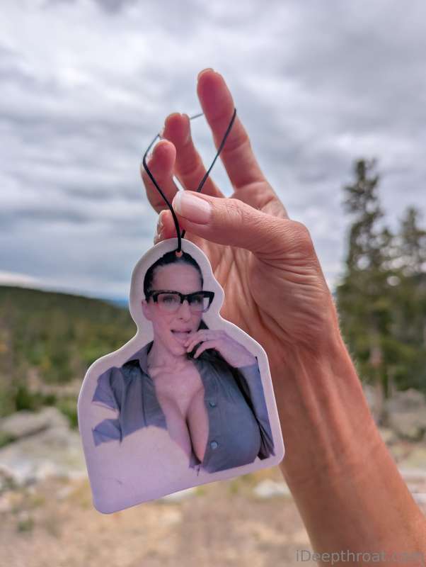 Would you hang this from the rear view mirror?