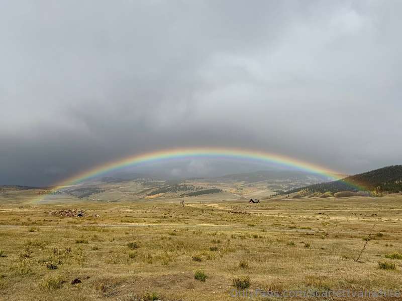 Check out this rainbow in my front yard yesterday evening! Y..