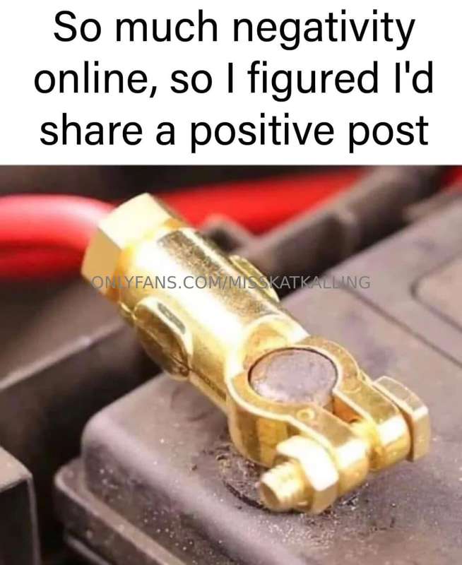 media