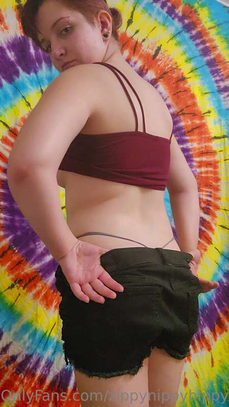 zippynippyhippy image #0