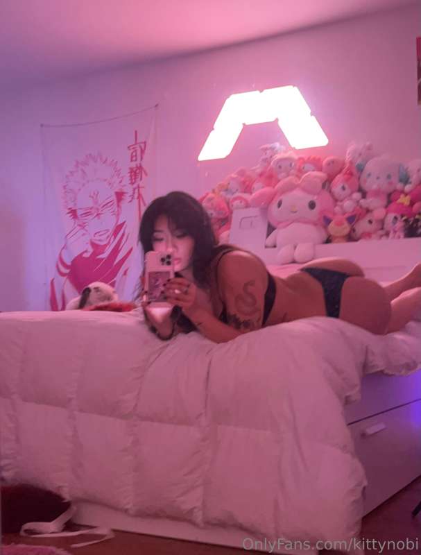 kittynobi photo