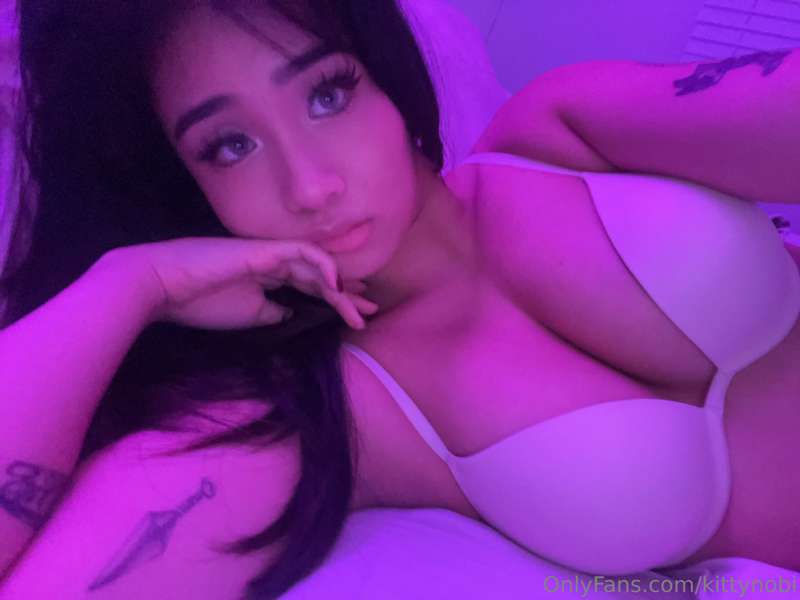 kittynobi photo